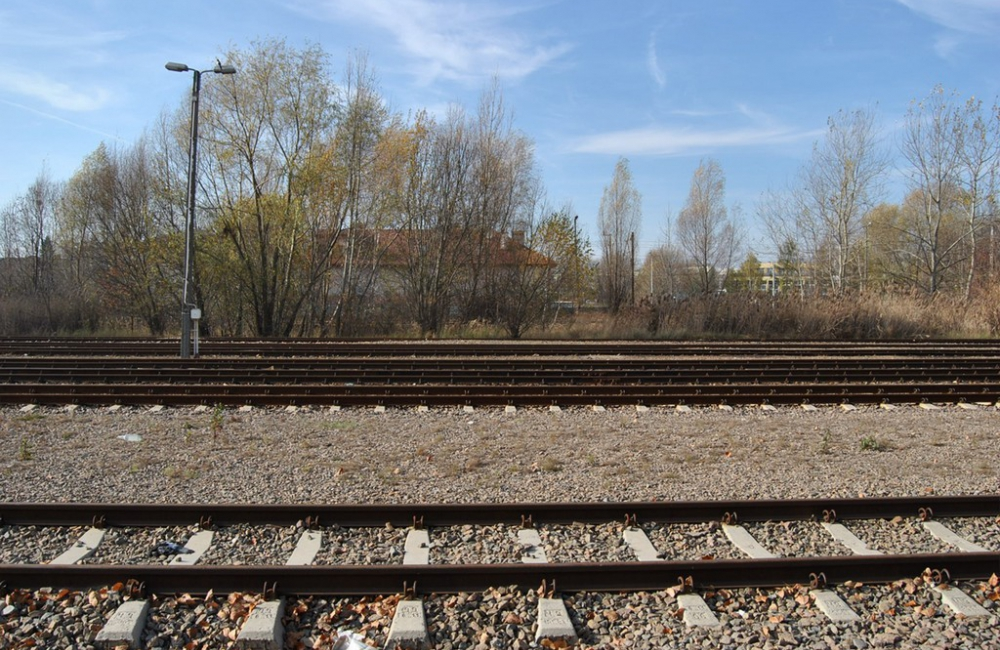 Od dziś rusza pociąg Białowieża