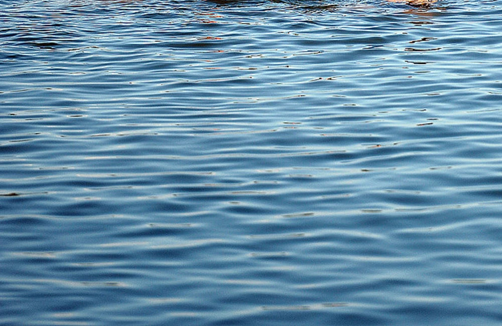 Uratowali staruszkę przed utopieniem