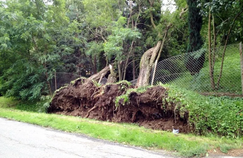 Zawalone drzewa, zerwane dachy, brak prądu. Skutki weekendowych wichur