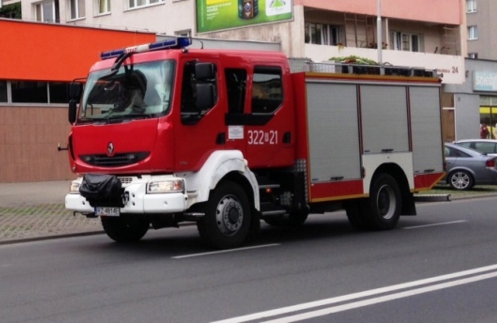 Mieli ugasić pożar altanek, natrafili na pocisk artyleryjski