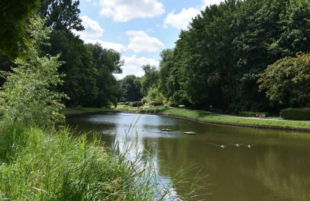 Stawy w parku Arkadia, a także w Dolinie Służewskiej po konserwacji