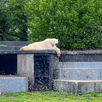 Warszawskie ZOO
