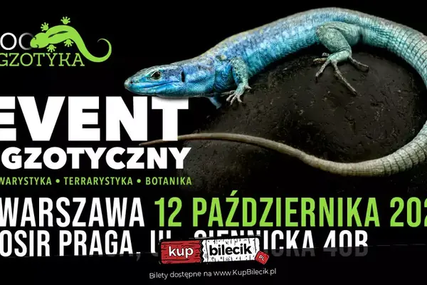 ZooEgzotyka