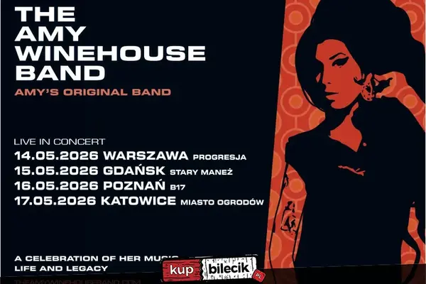 The Amy Winehouse Band
