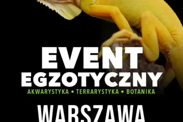 ZooEgzotyka