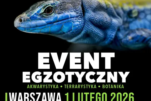 ZooEgzotyka
