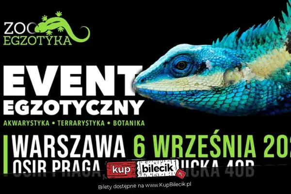 ZooEgzotyka