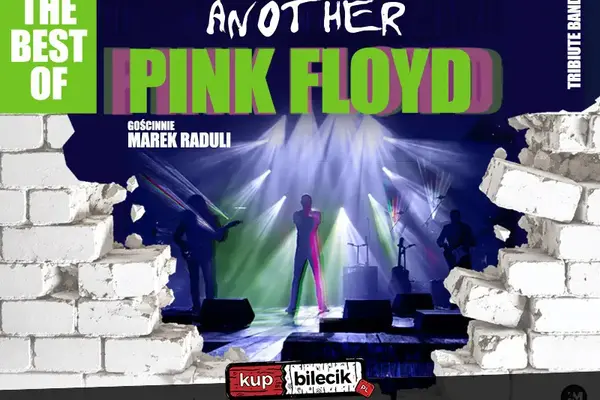 Another Pink Floyd Tribute Band
