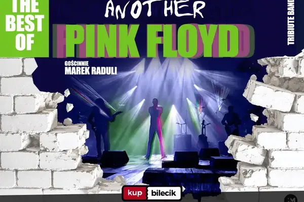 Another Pink Floyd Tribute Band