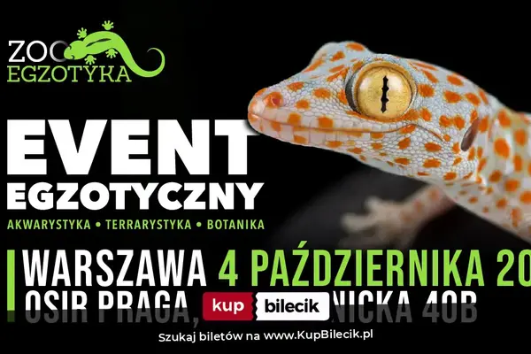 ZooEgzotyka