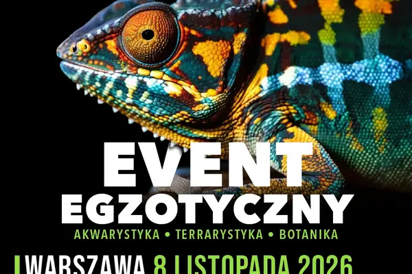 ZooEgzotyka