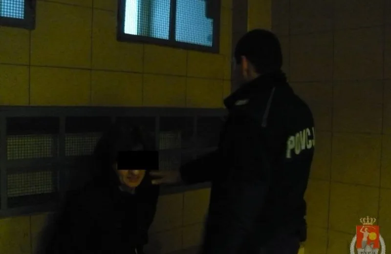 Znęcała się nad matką i synem