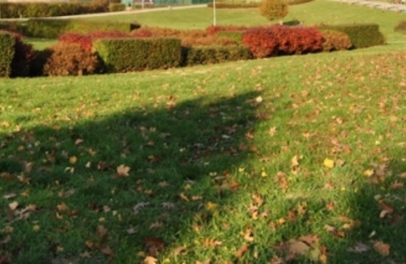 Powstaje Park Miniatur