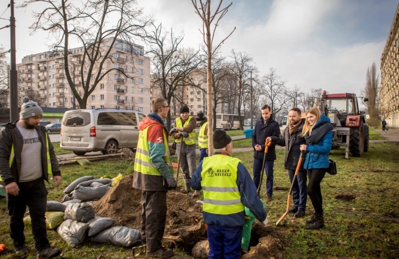 1200 nowych drzew przy stołecznych ulicach