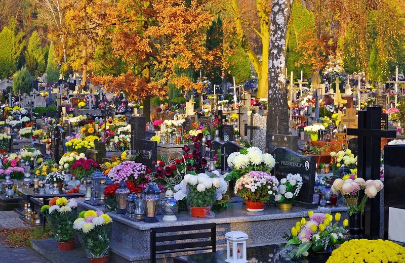 Wszystkich Świętych. Zmiana organizacji ruchu w rejonie cmentarzy