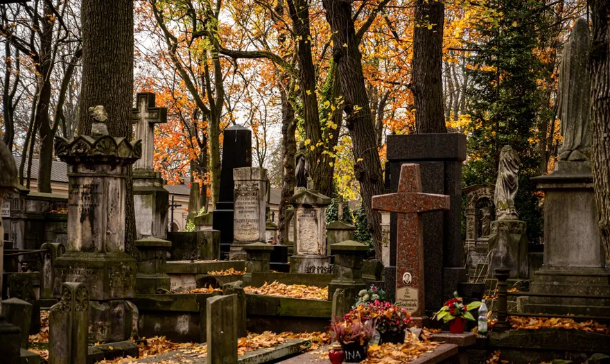 Wyszukiwarka grobów i osób pochowanych na warszawskich cmentarzach. Obejmuje już ponad 250 tys. grobów fot. UM Warszawa 