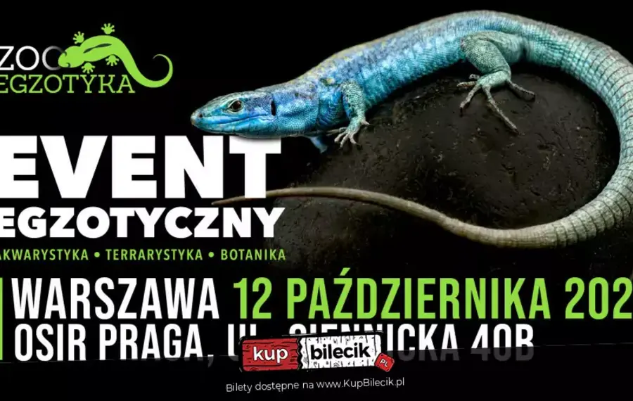 ZooEgzotyka