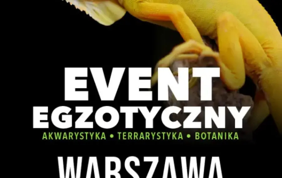 ZooEgzotyka