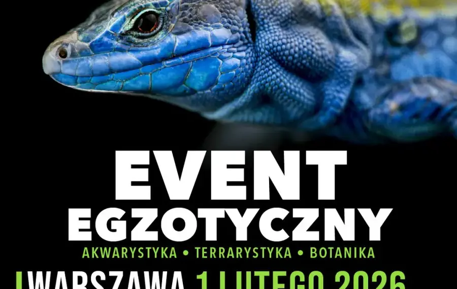 ZooEgzotyka