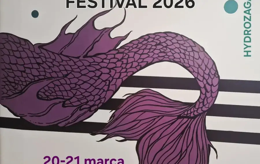 Vieux Crane - Festiwal Frankofonii