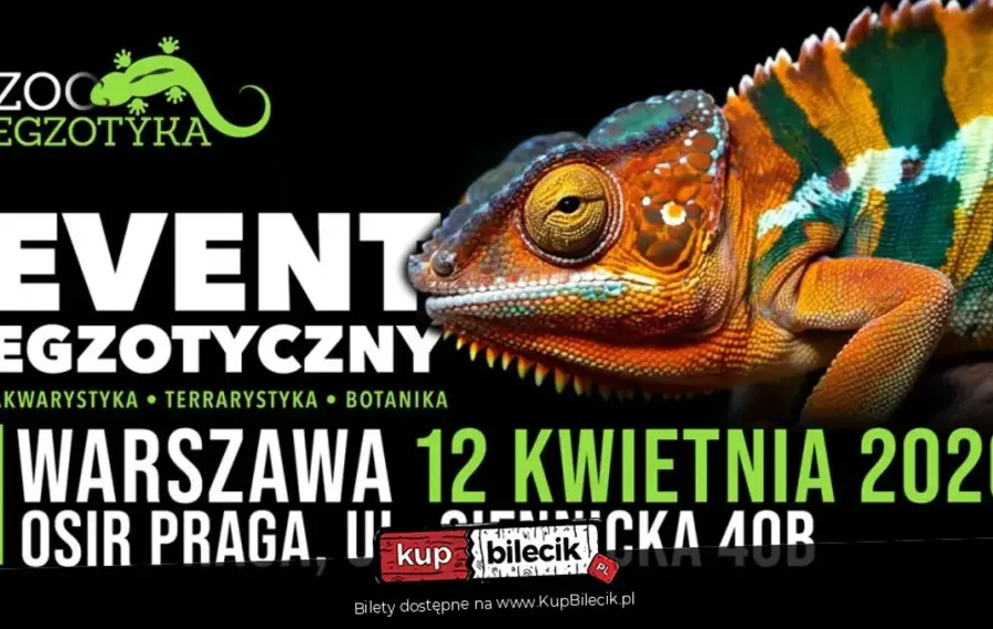 ZooEgzotyka