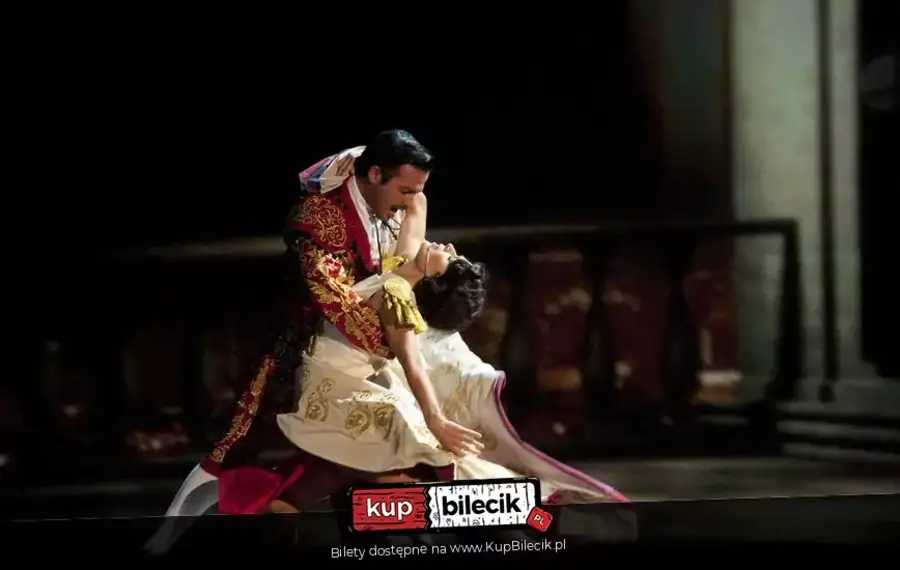 Polita - musical w 3D live o Poli Negri