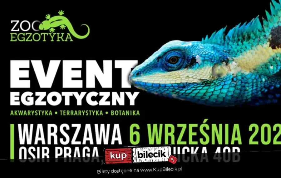 ZooEgzotyka
