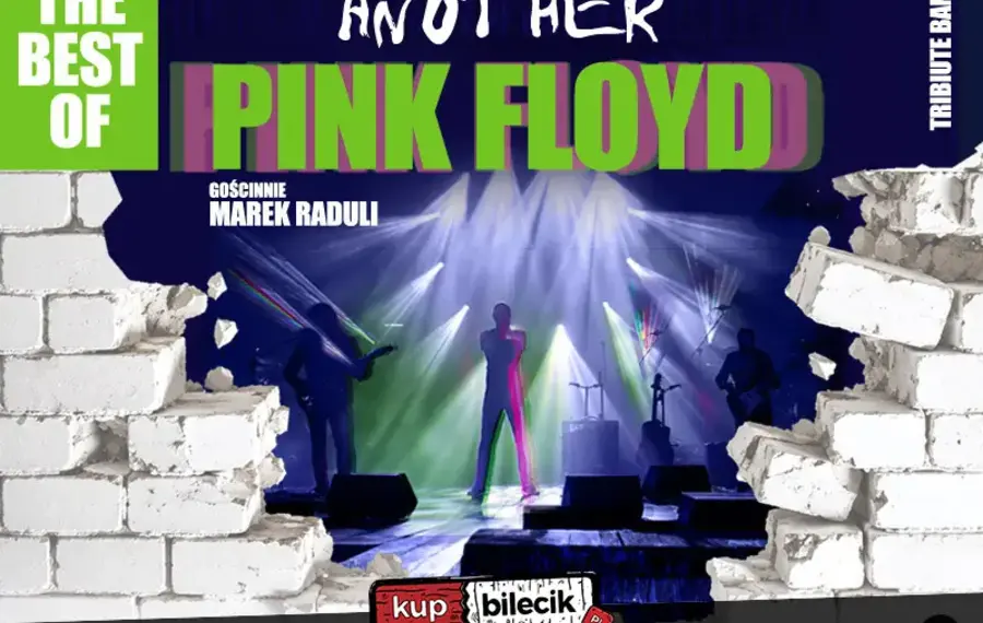 Another Pink Floyd Tribute Band