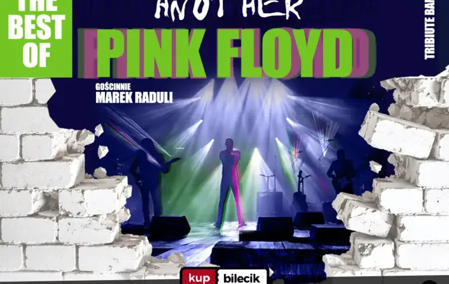 Another Pink Floyd Tribute Band