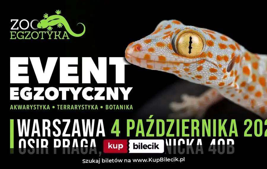 ZooEgzotyka