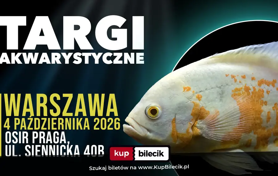 ZooEgzotyka