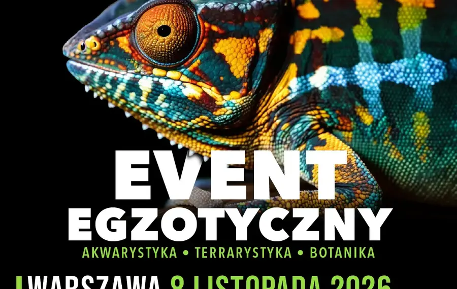ZooEgzotyka