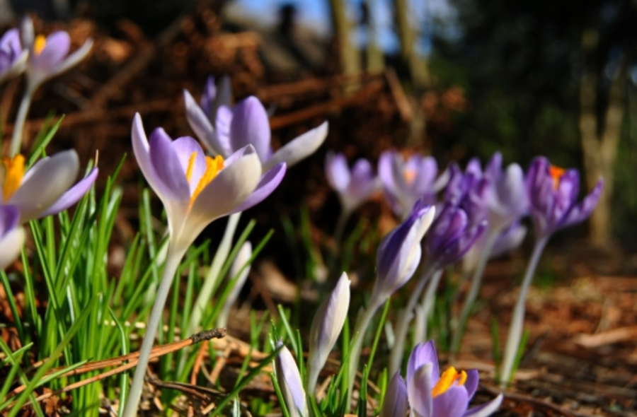 Fot. Archiwum Wawa.net.pl