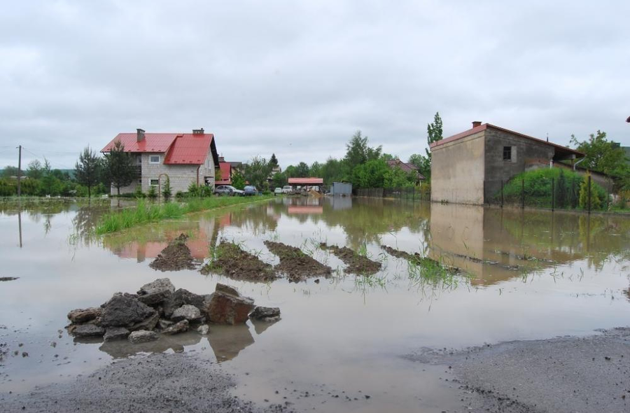 Fot. Archiwum Wawa.net.pl